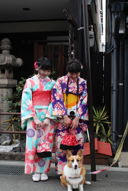 【日本，8200公里的流浪】06 # 愛知·犬山祭