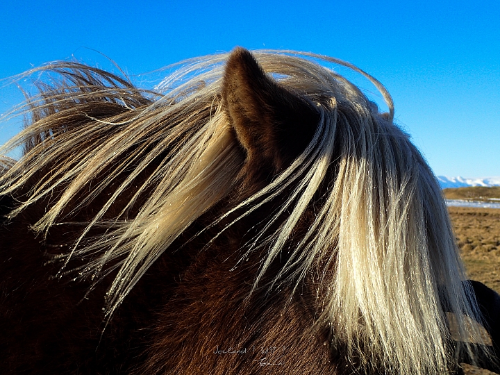 [Canon 5D3 ] 走吧! ICELAND 2017