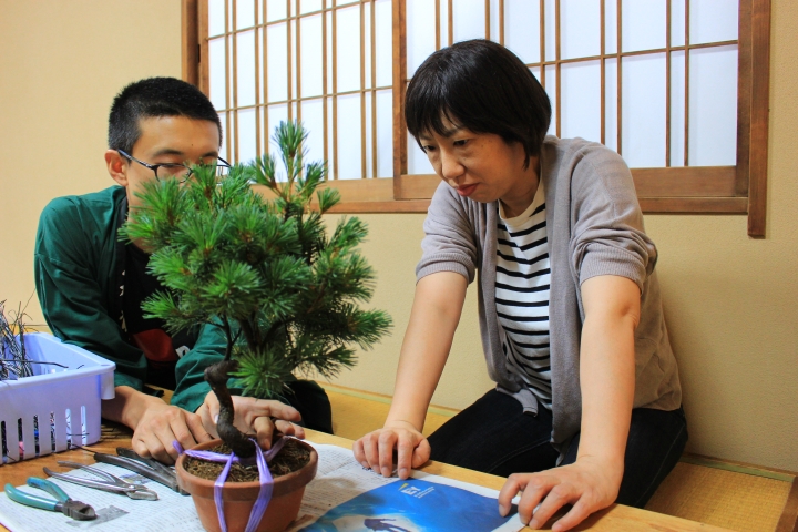 一起來學習日本傳統文化盆栽（BONSAI）吧