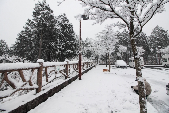 【日本，8200公里的流浪】02 # 箱根之雪