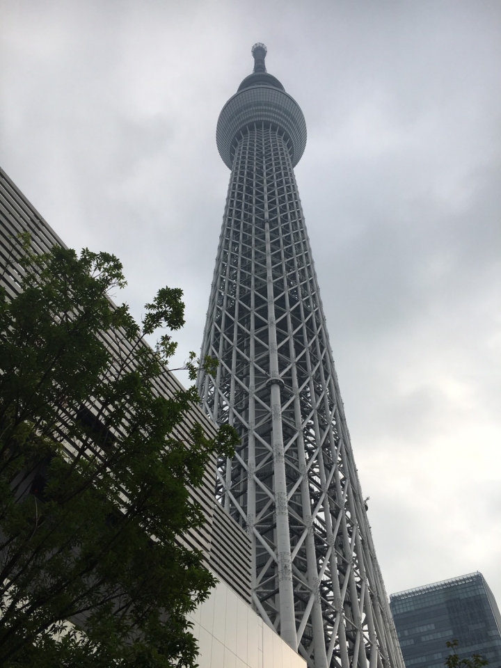 關於東京跑步路線