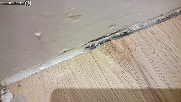 公共管道間漏水問題 還請mobile 大神賜教解決方式