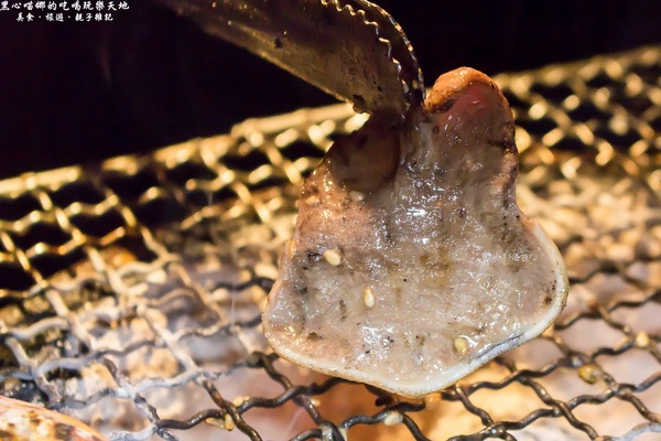 (邀稿)高雄新興︱野饌日式炭火燒肉火烤兩吃吃到飽