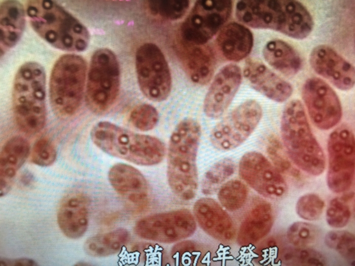 了解攝影