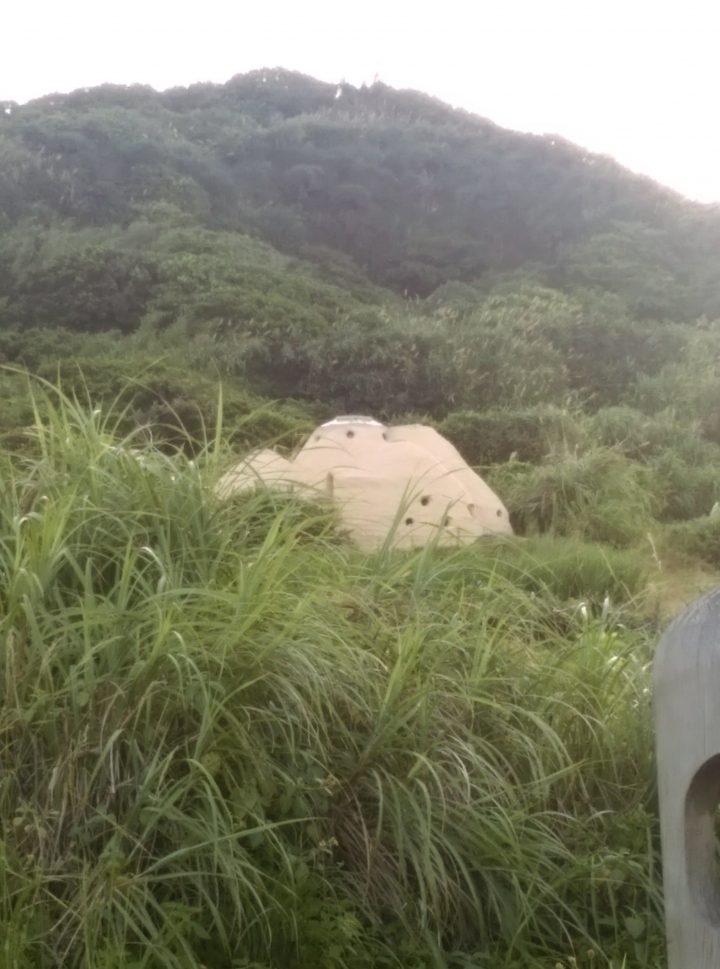 在淡金公路上洋豆子咖啡館對面山坡上的小碉堡.....這到底是什麼呀 ???