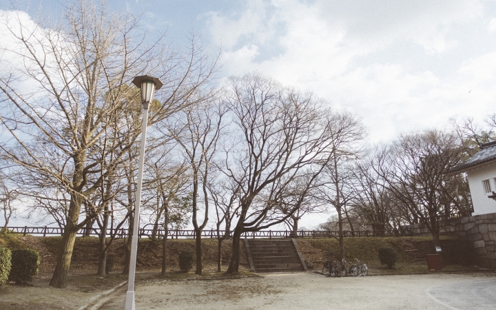 【大阪遊記】紅燈區飛田新地，限制級地下影院都在我行程之內！