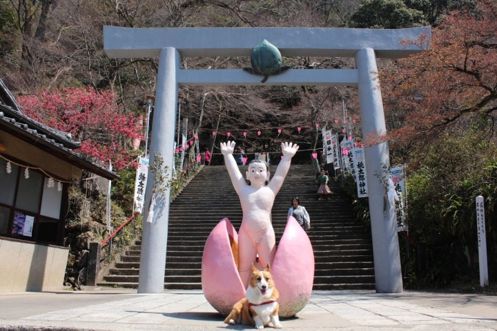 【日本，8200公里的流浪】06 # 愛知·犬山祭