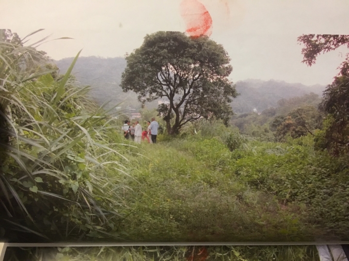 9甲多農地(有興趣也可以一起開發)