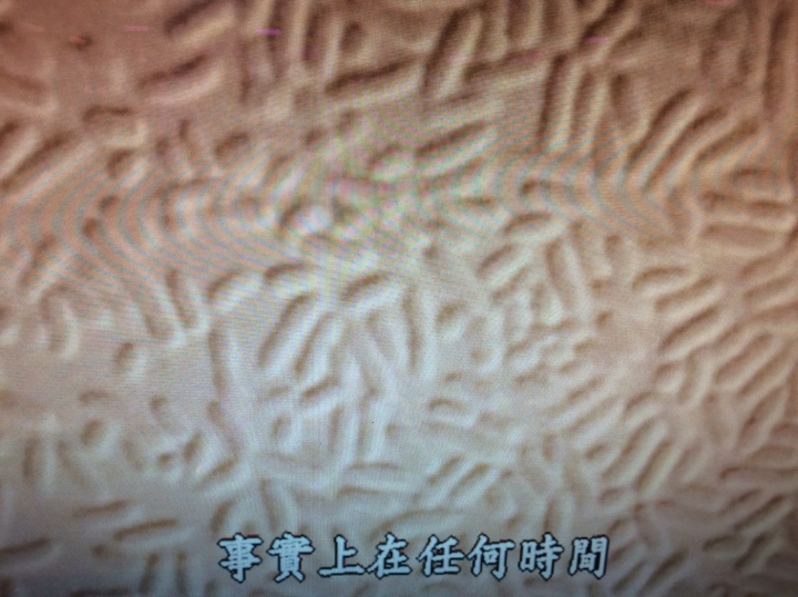 了解攝影