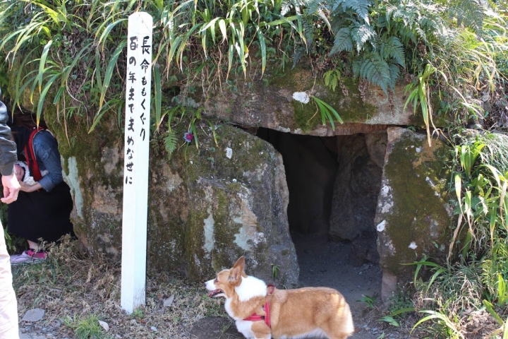 【日本，8200公里的流浪】06 # 愛知·犬山祭