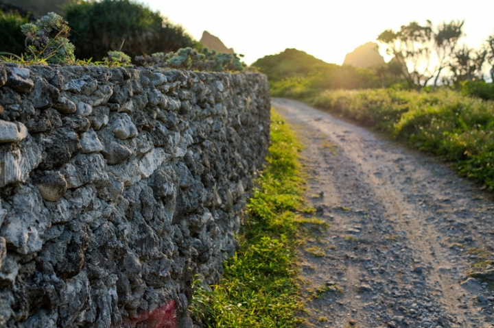[遊記] 蘭嶼四天三夜 (東清灣 青青草原 祈禱山 拼板舟 日出日落.......)