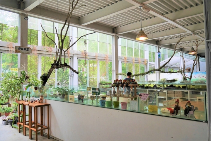 【宜蘭員山 | 餐廳】美麗溫室花園裡的自助美饌❀香草菲菲