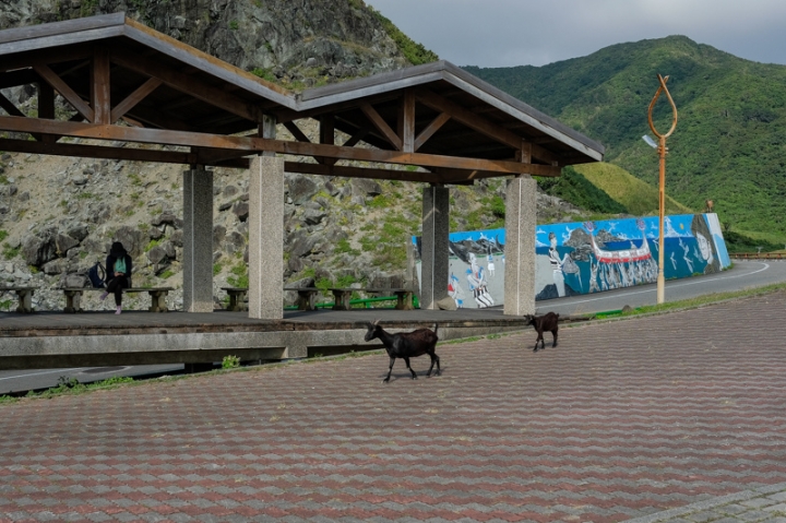 [遊記] 蘭嶼四天三夜 (東清灣 青青草原 祈禱山 拼板舟 日出日落.......)