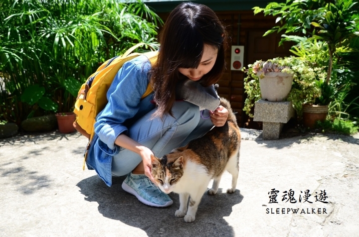 ［南投清境。住宿］峰情民宿－陽台極佳景觀、高CP值、公車遊清境｜搭公車遊南投 Day1