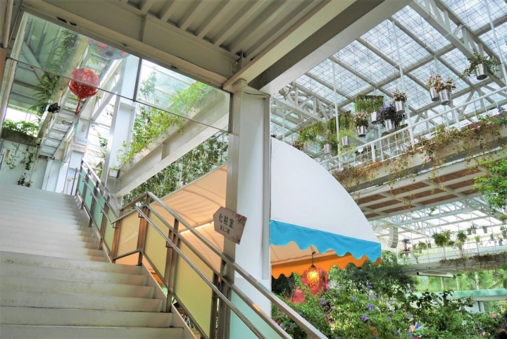 【宜蘭員山 | 餐廳】美麗溫室花園裡的自助美饌❀香草菲菲