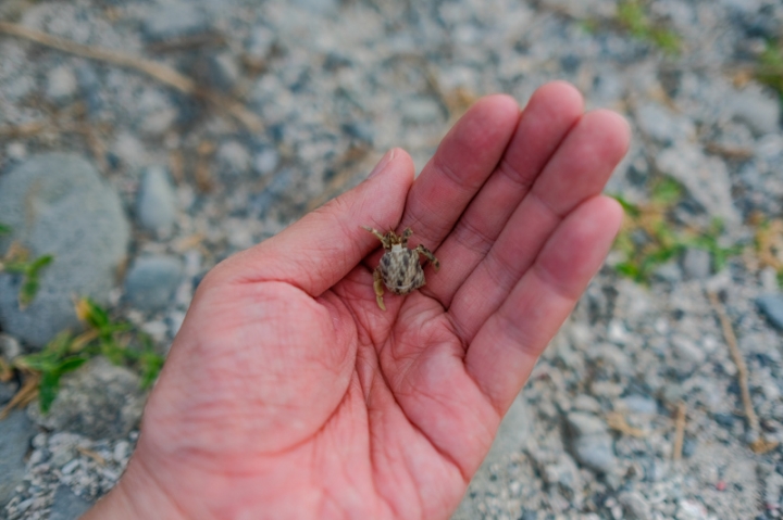 [遊記] 蘭嶼四天三夜 (東清灣 青青草原 祈禱山 拼板舟 日出日落.......)