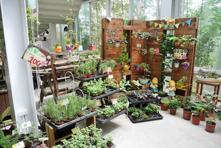 【宜蘭員山 | 餐廳】美麗溫室花園裡的自助美饌❀香草菲菲