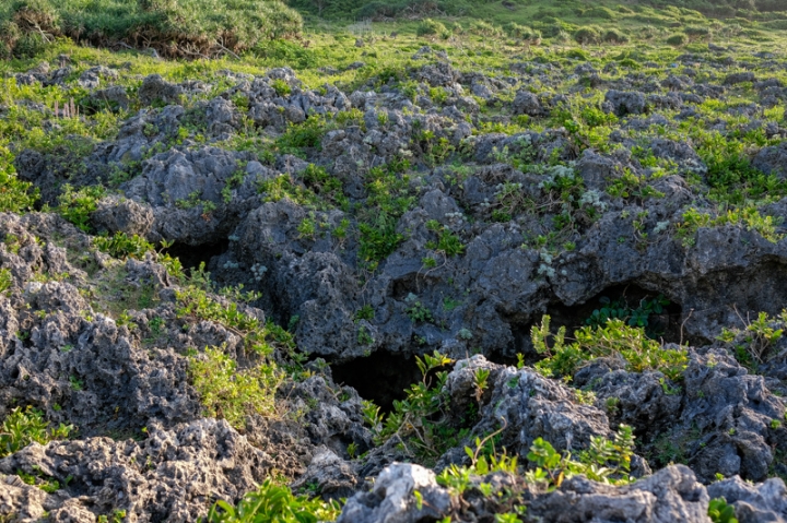 [遊記] 蘭嶼四天三夜 (東清灣 青青草原 祈禱山 拼板舟 日出日落.......)
