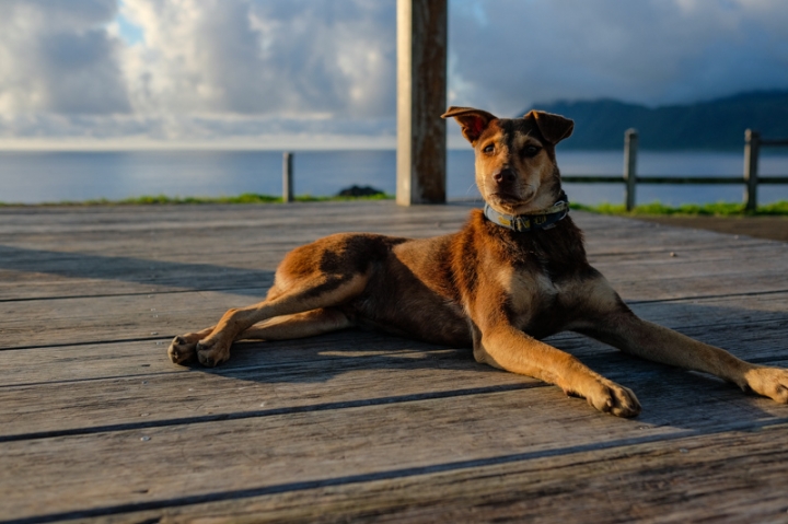 [遊記] 蘭嶼四天三夜 (東清灣 青青草原 祈禱山 拼板舟 日出日落.......)