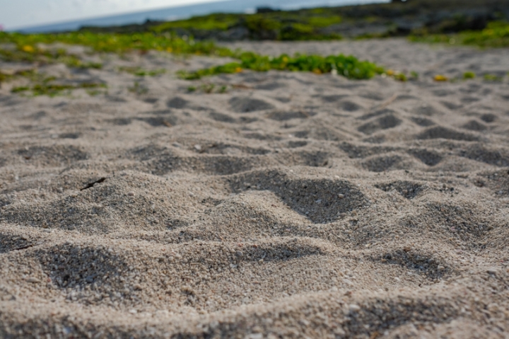 [遊記] 蘭嶼四天三夜 (東清灣 青青草原 祈禱山 拼板舟 日出日落.......)