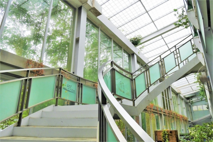 【宜蘭員山 | 餐廳】美麗溫室花園裡的自助美饌❀香草菲菲