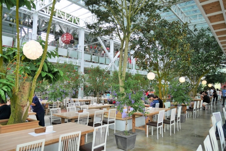 【宜蘭員山 | 餐廳】美麗溫室花園裡的自助美饌❀香草菲菲