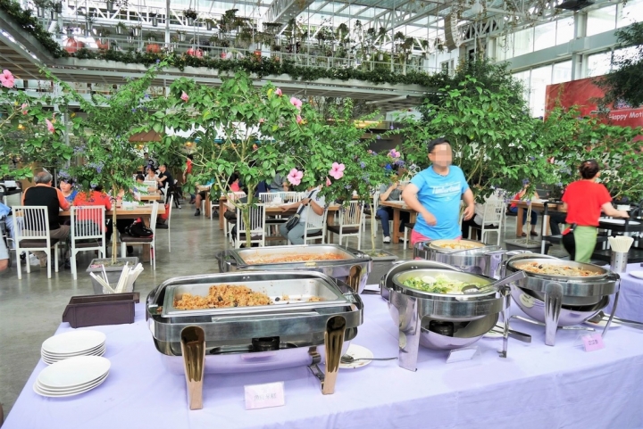 【宜蘭員山 | 餐廳】美麗溫室花園裡的自助美饌❀香草菲菲