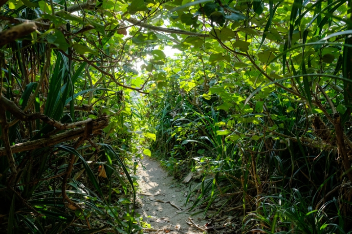 [遊記] 蘭嶼四天三夜 (東清灣 青青草原 祈禱山 拼板舟 日出日落.......)