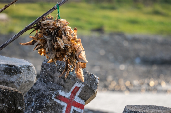 [遊記] 蘭嶼四天三夜 (東清灣 青青草原 祈禱山 拼板舟 日出日落.......)