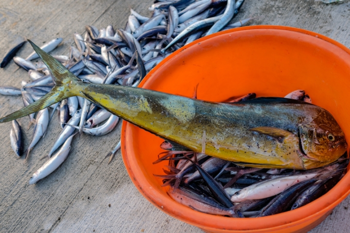 [遊記] 蘭嶼四天三夜 (東清灣 青青草原 祈禱山 拼板舟 日出日落.......)