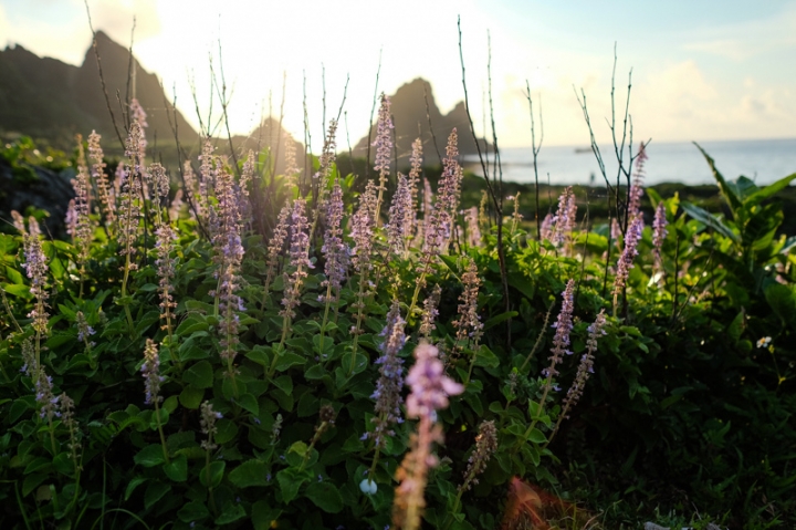 [遊記] 蘭嶼四天三夜 (東清灣 青青草原 祈禱山 拼板舟 日出日落.......)