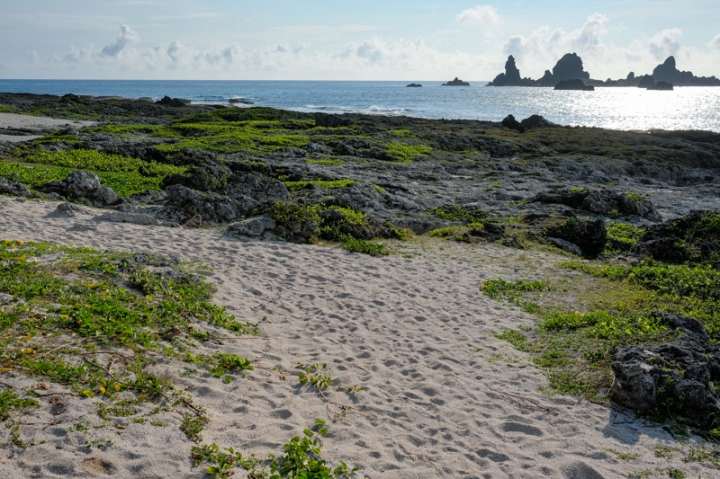 [遊記] 蘭嶼四天三夜 (東清灣 青青草原 祈禱山 拼板舟 日出日落.......)