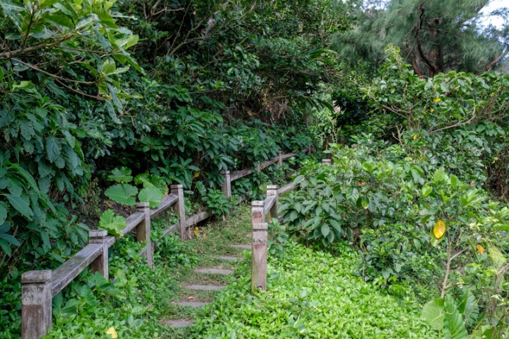 [遊記] 蘭嶼四天三夜 (東清灣 青青草原 祈禱山 拼板舟 日出日落.......)