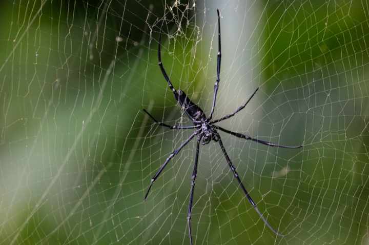 [遊記] 蘭嶼四天三夜 (東清灣 青青草原 祈禱山 拼板舟 日出日落.......)