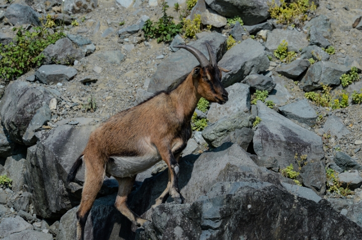 [遊記] 蘭嶼四天三夜 (東清灣 青青草原 祈禱山 拼板舟 日出日落.......)
