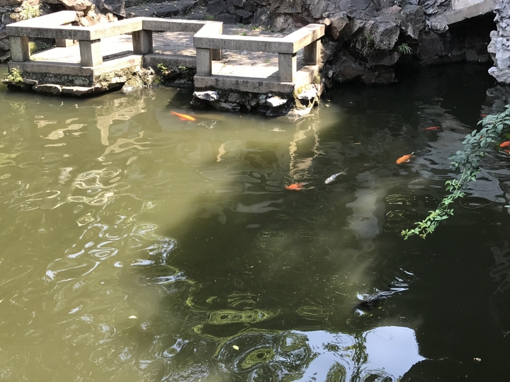 中國上海-西安-甘肅18天自由行