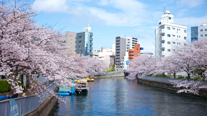 日本的浮光掠影