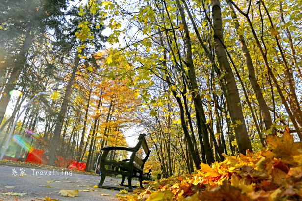 讓我們來一份「莫斯科」的楓葉吧！ – Here, I am travelling