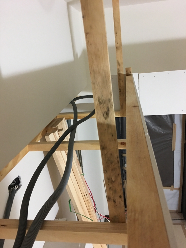［請教］天花板角料發霉