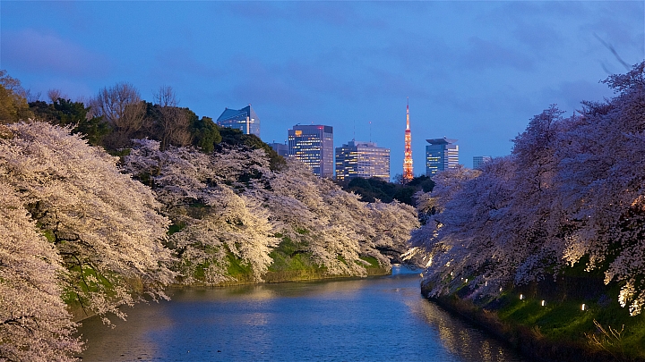 日本的浮光掠影