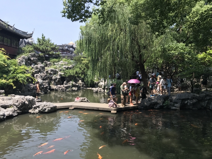 中國上海-西安-甘肅18天自由行