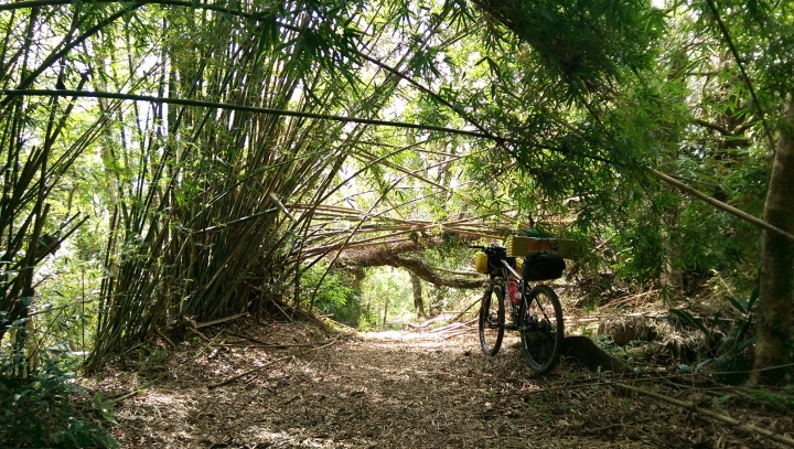 『那些Bikepacking的日子』 - 坪溪古道 x 太和山步道