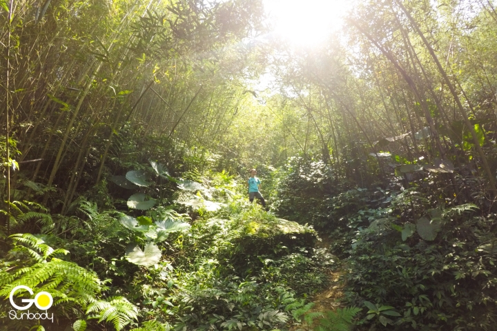 【GoSunbody】五寮尖飛簷走壁，北部三大岩場的試煉