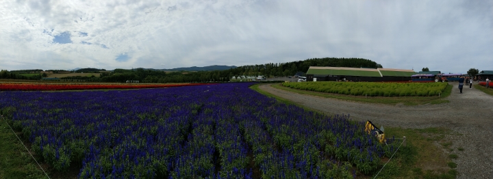 U11 秋訪北海道拍攝分享