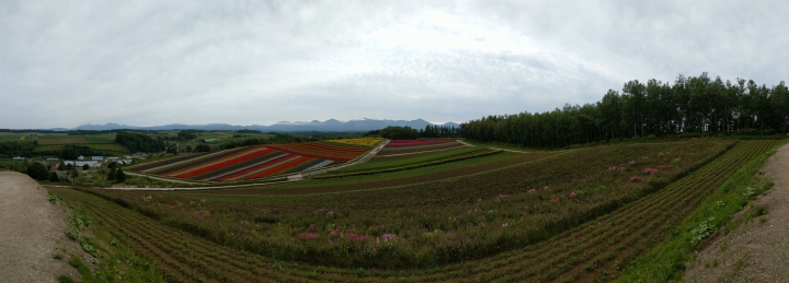 U11 秋訪北海道拍攝分享