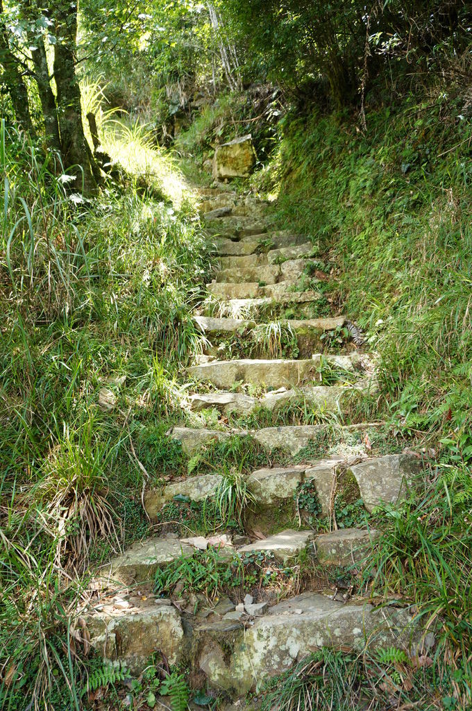 [新竹縣]榛山登山步道