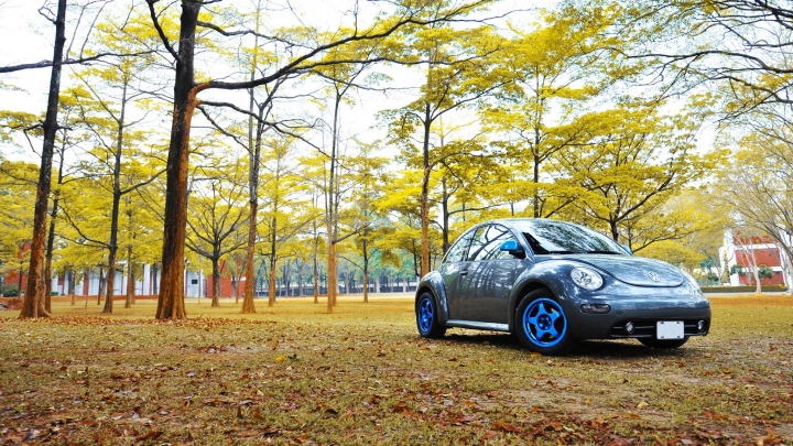 [開箱]The Beetle 2016年式開箱文