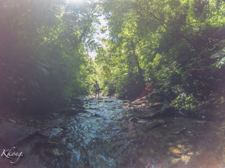 機車露營第三露，雲窩森林！ （騎車、攝影、露營）