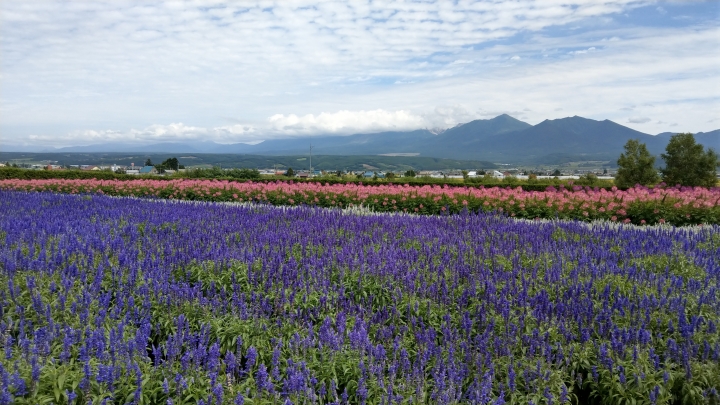 U11 秋訪北海道拍攝分享