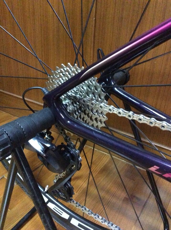 Liv Langma Advanced SL1 全台首發
